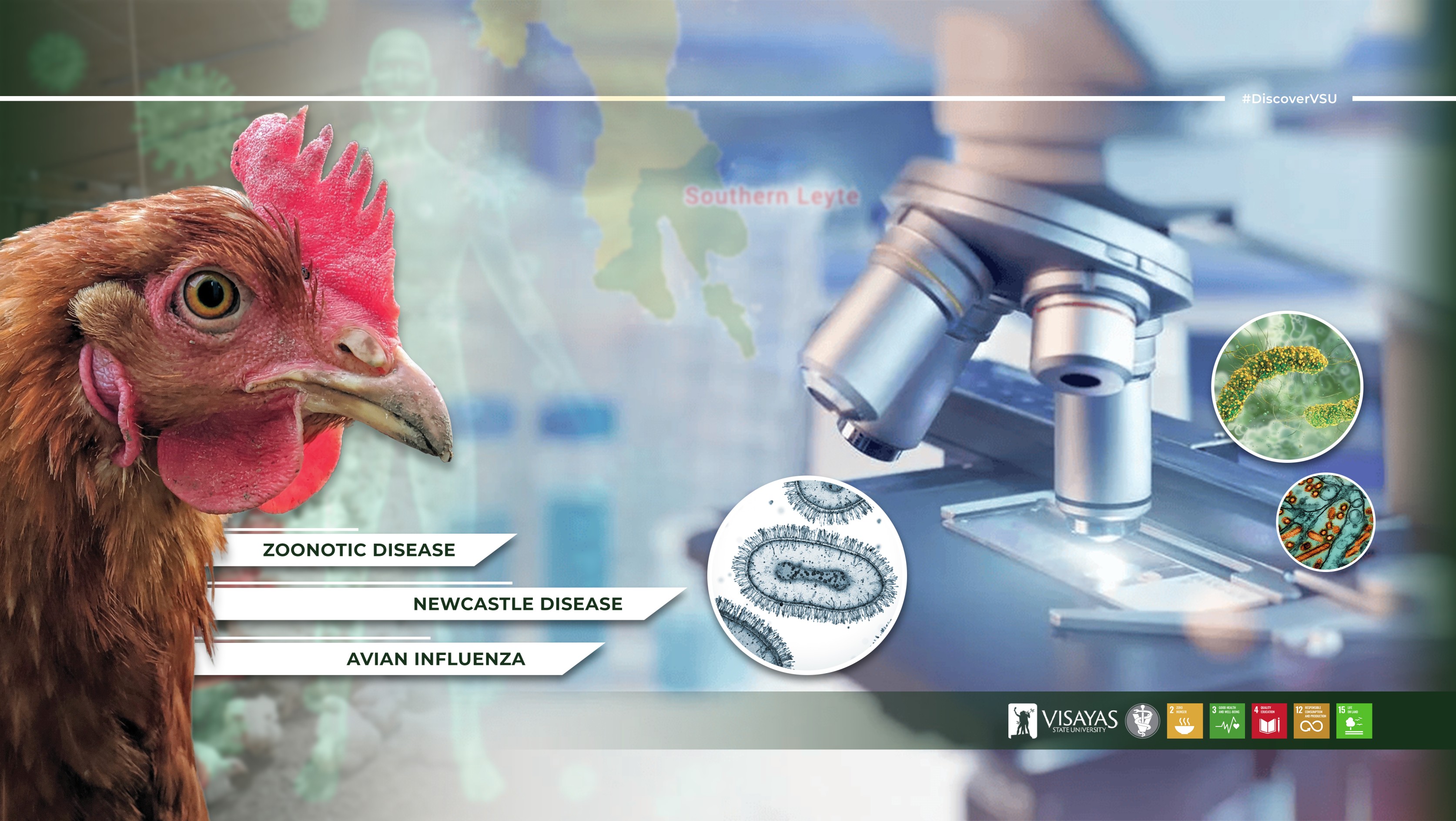DiscoverWithVSU-Study-reveals-gaps-in-public-awareness-on-poultry-diseases-in-Leyte-and-Southern-Leyte